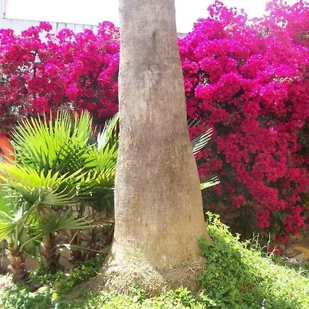 Gasthuis Boutique Lorca