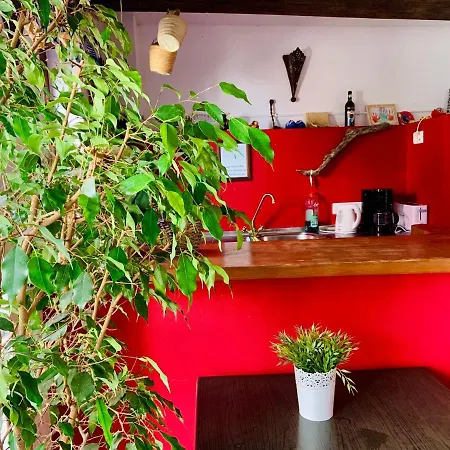 ゲストハウス Boutique Lorca 2*