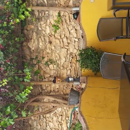 Boutique Lorca ネルハ